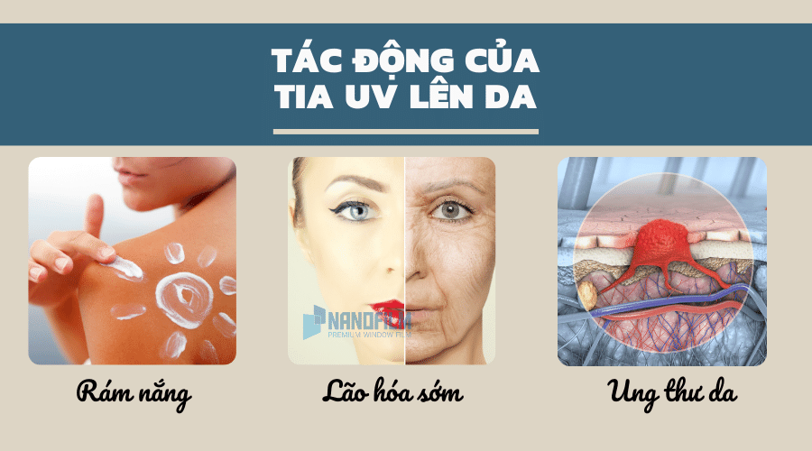 Top 5 kem chống nắng body đi biển tốt nhất nên dùng 2025
