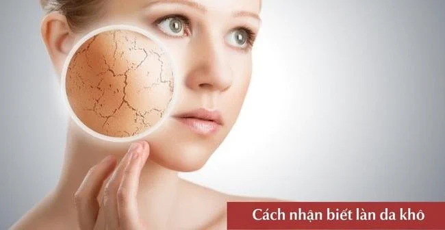 Cách chọn mỹ phẩm phù hợp cho từng loại da và nhu cầu cá nhân